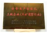 2012 安全生产标准化三级企业
